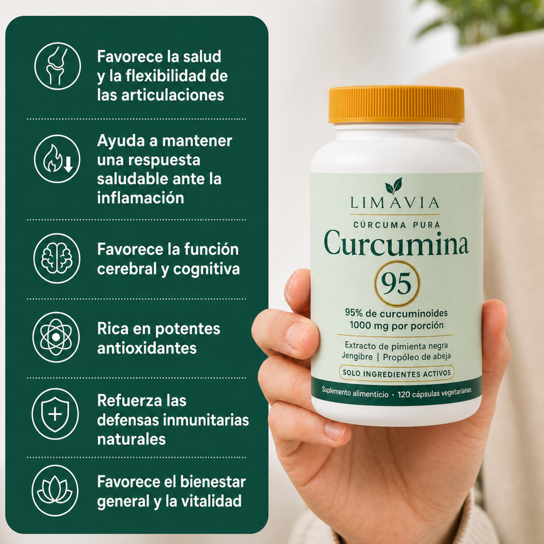Curcuma de Limavia